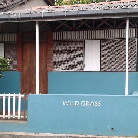 Wild Grass Villa Tangalle Exterior photo